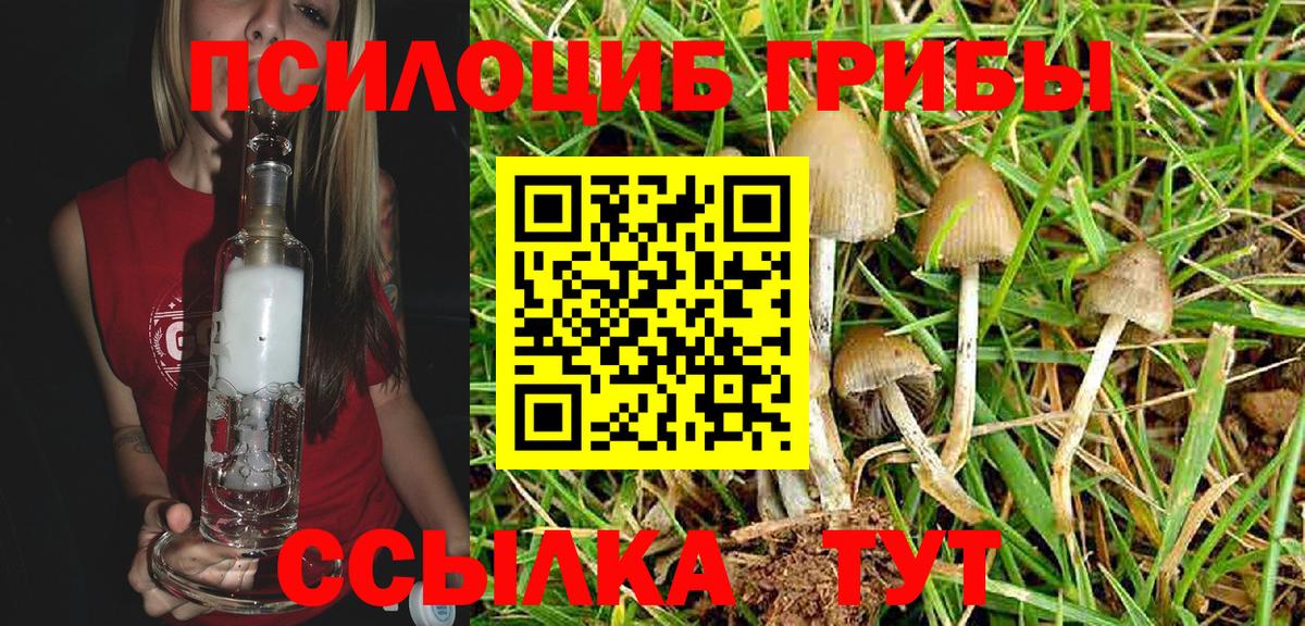 Кизляр  Галлюциногенные грибы Magic Shrooms  Галлюциногенные грибы GOLDEN TEACHER  Вход с VPN 