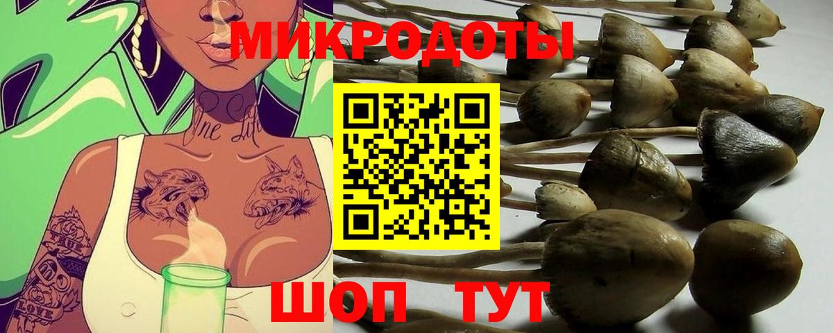 Псилоцибиновые грибы GOLDEN TEACHER Кизляр